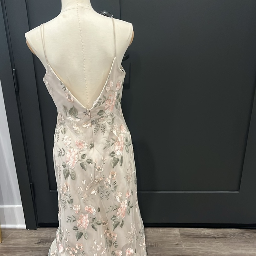 Jenny Yoo‎ Julianna Enchanted Floral Embroidery - Picture 9 of 11